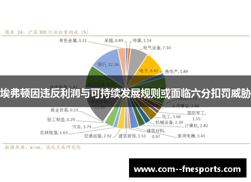 埃弗顿因违反利润与可持续发展规则或面临六分扣罚威胁 埃弗顿因违反利润与可持续发展规则或面临六分扣罚威胁